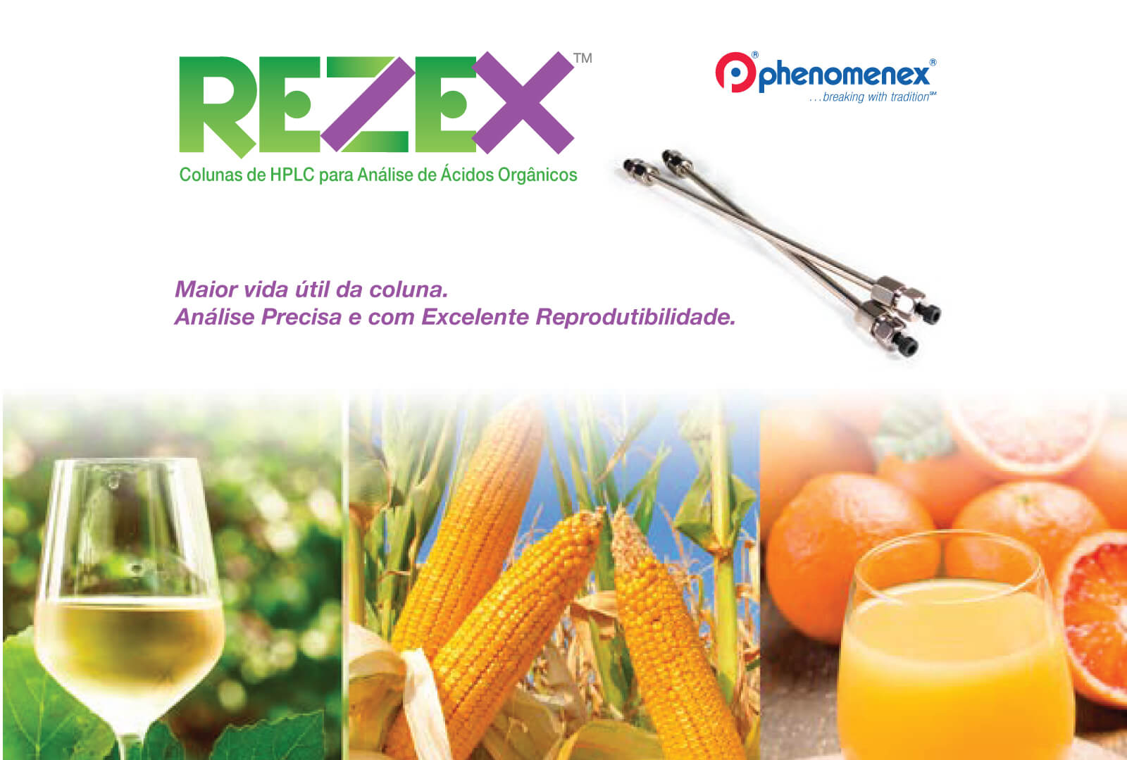 Coluna Rezex™