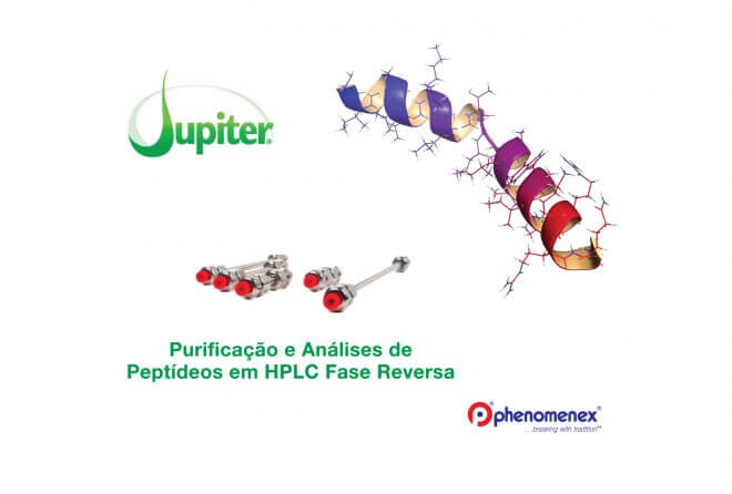 Coluna Jupiter