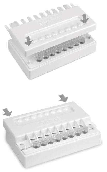 Assistente de tira de PCR - Image 6