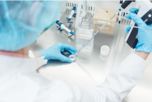 Equipamentos de Bancada